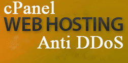ddos protected web hosting